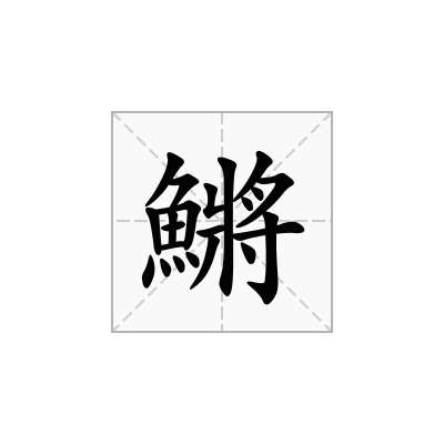 鱂