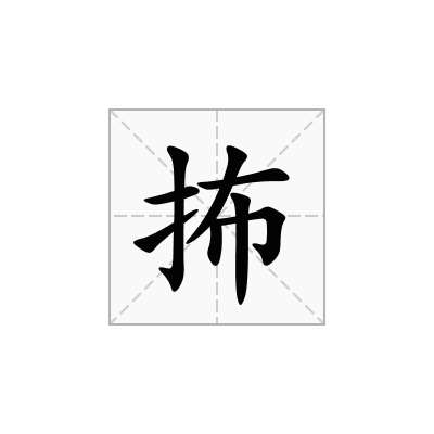 抪